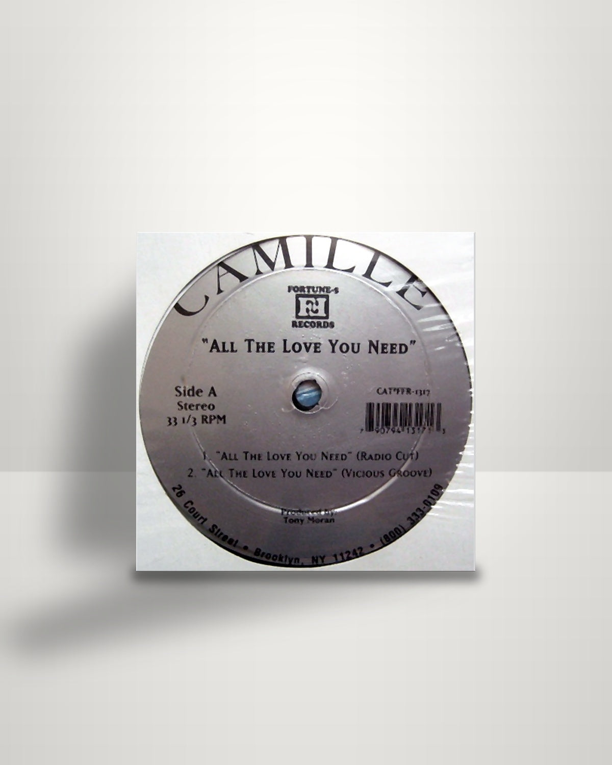 Camillé – All The Love You Need - 12" - Fortune-5 Records US 1995