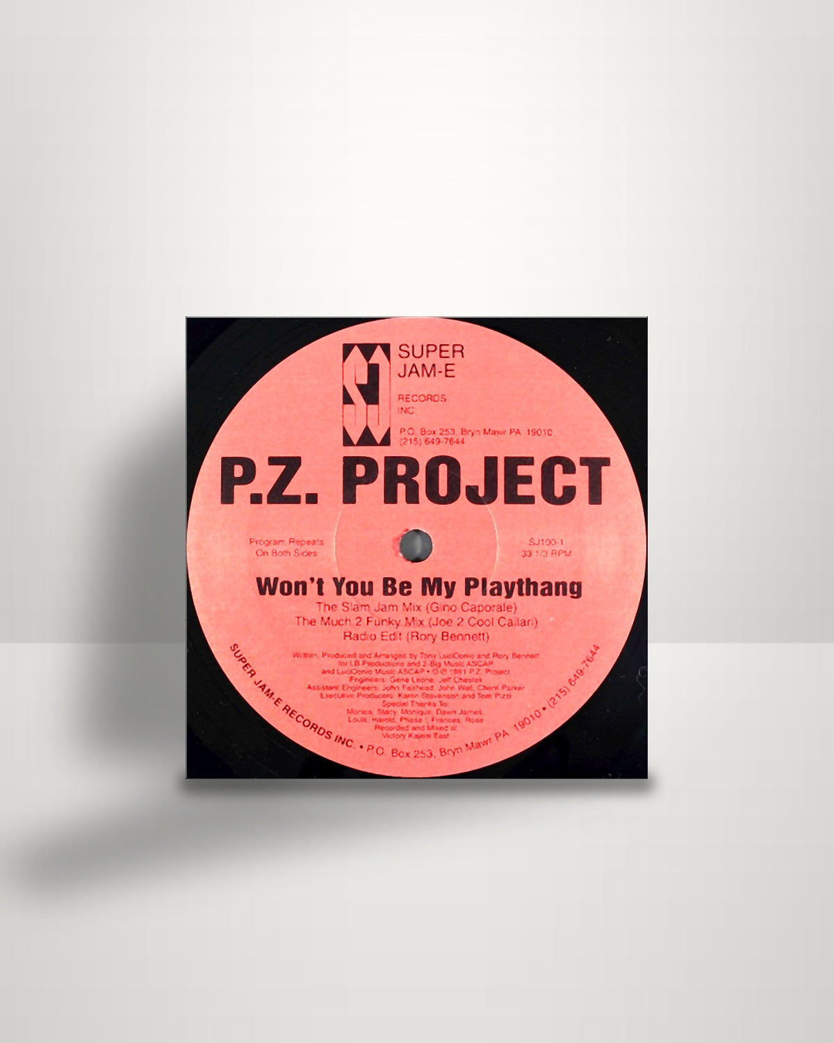P.Z. Project – Won't You Be My Playthang - 12" - Super Jam-E Records Inc US 1991