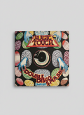 Lake Shore Drive – The Disco Scene - 12" Magic touch US 1978