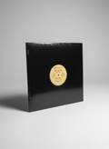 Regie - I Need Your Love -  12 EP Electro Modern Soul Tamika 1989
