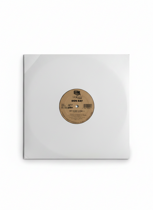 Don Ray – Got To Have Loving / Standing In The Rain 12" Reissue Disco