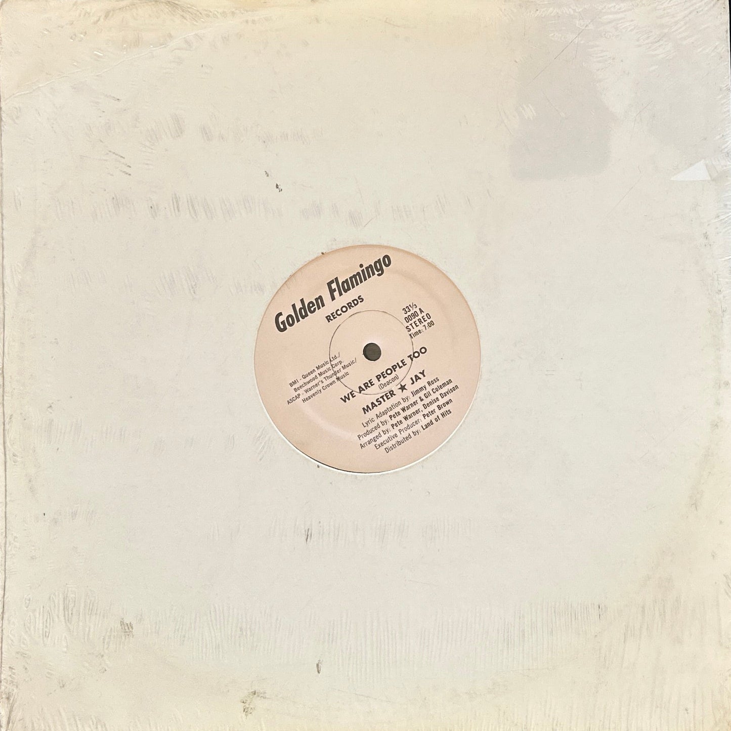 Master Jay ‎– We Are People Too 12" Disco Funk / Rap 1980