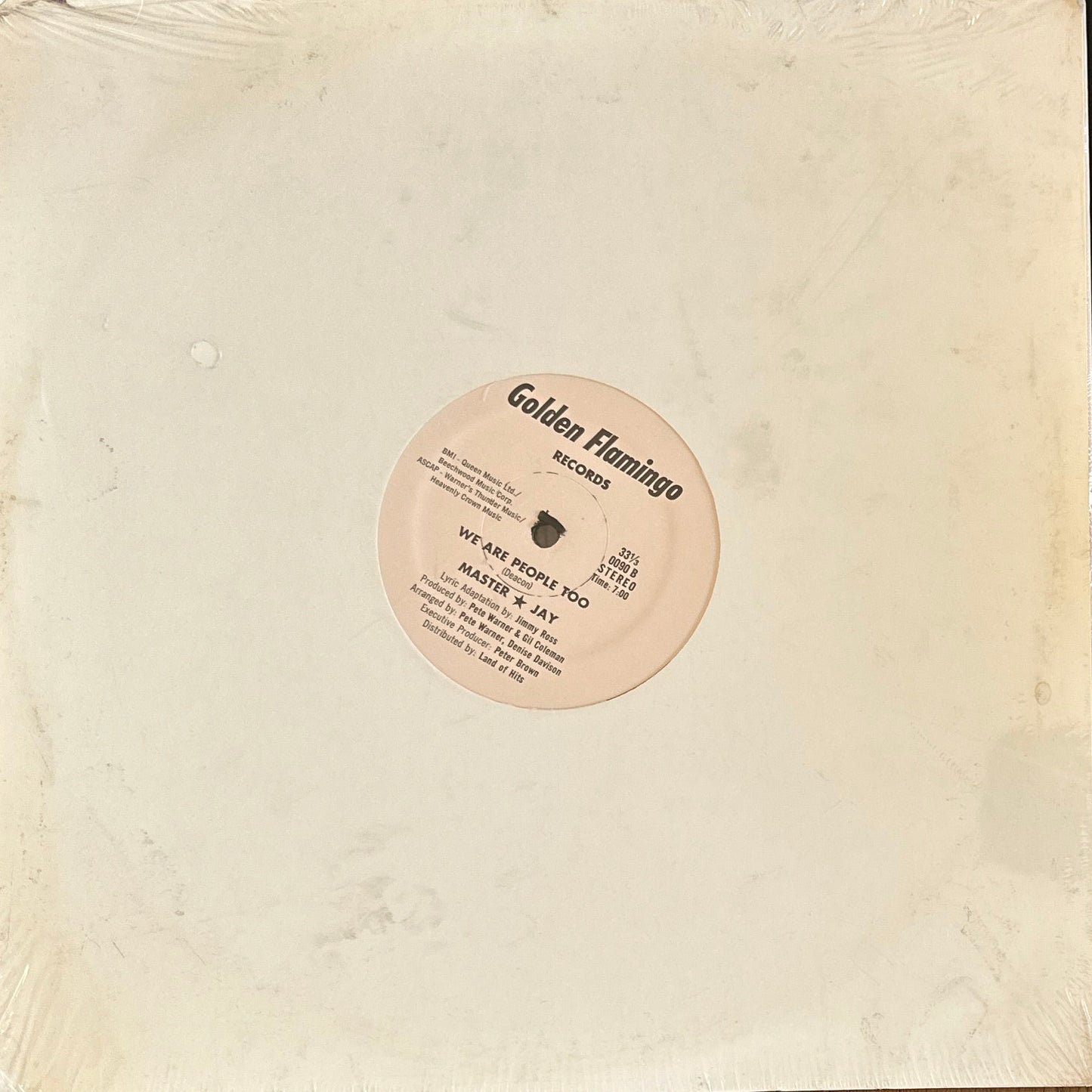 Master Jay ‎– We Are People Too 12" Disco Funk / Rap 1980