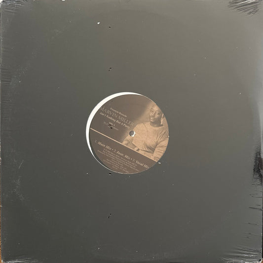 Marvin Miller – Ain’t Nothing But A Party 12" R&B Swing 2000