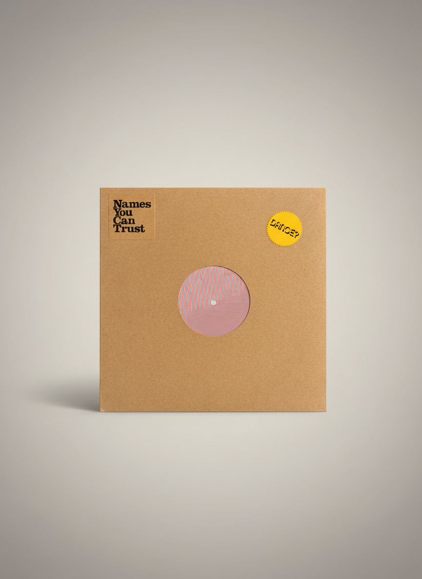 NY Hustlers – Money Kill The Truth - 12" Deep House / Disco Names You Can Trust 2015