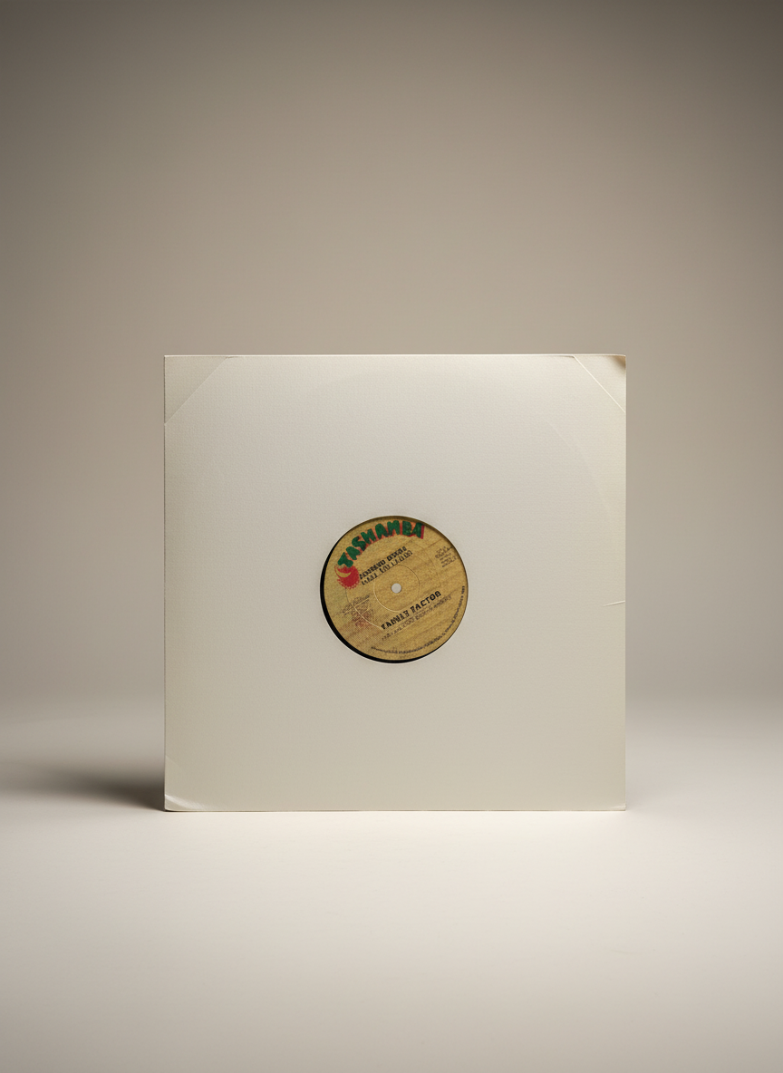 Family Factor – Summer Break - 12" Electro / Rap / Hip Hop 1985 Tashamba