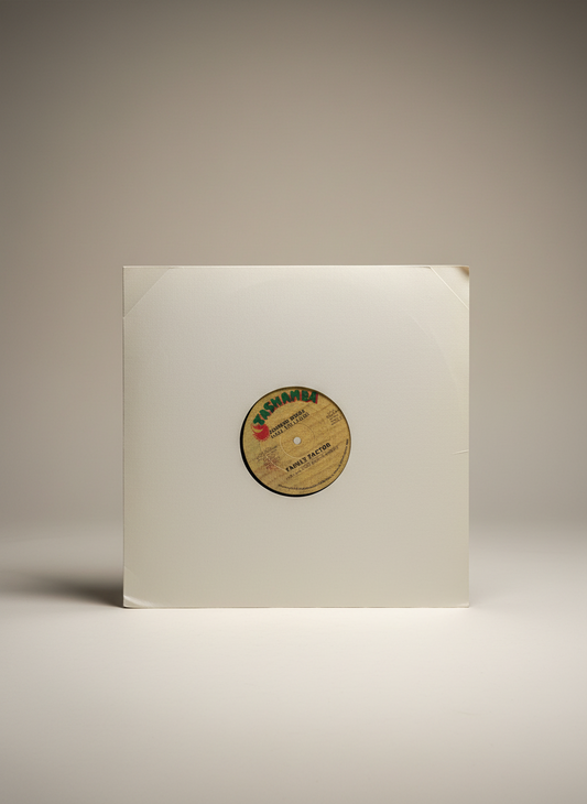 Family Factor – Summer Break - 12" Electro / Rap / Hip Hop 1985 Tashamba