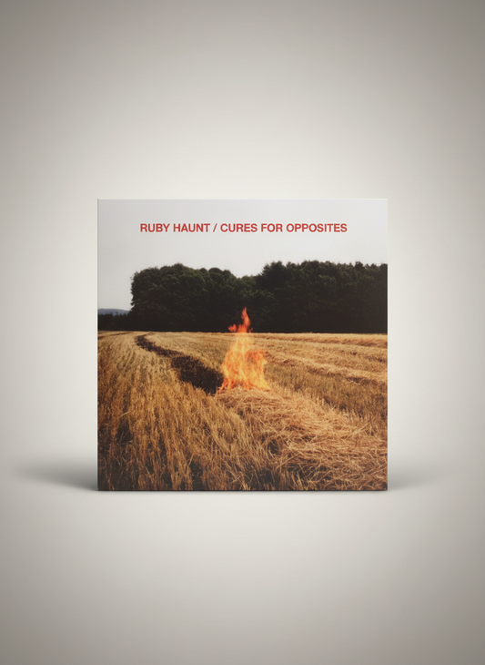 Ruby Haunt ‎– Cures for Opposites - LP Vinyl Album 2022 Rock / Nu DIsco / Dream Pop Limited 200