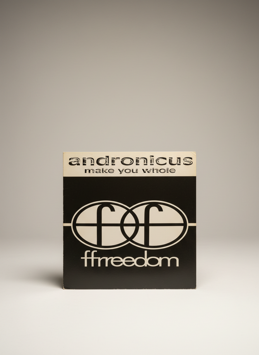 Andronicus ‎– Make You Whole - 12" UK House Ffrreedom ‎ 1992