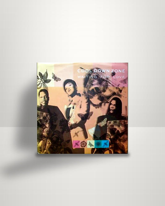 Cool Down Zone – Waiting For Love - 7" - 10 Records DE 1990