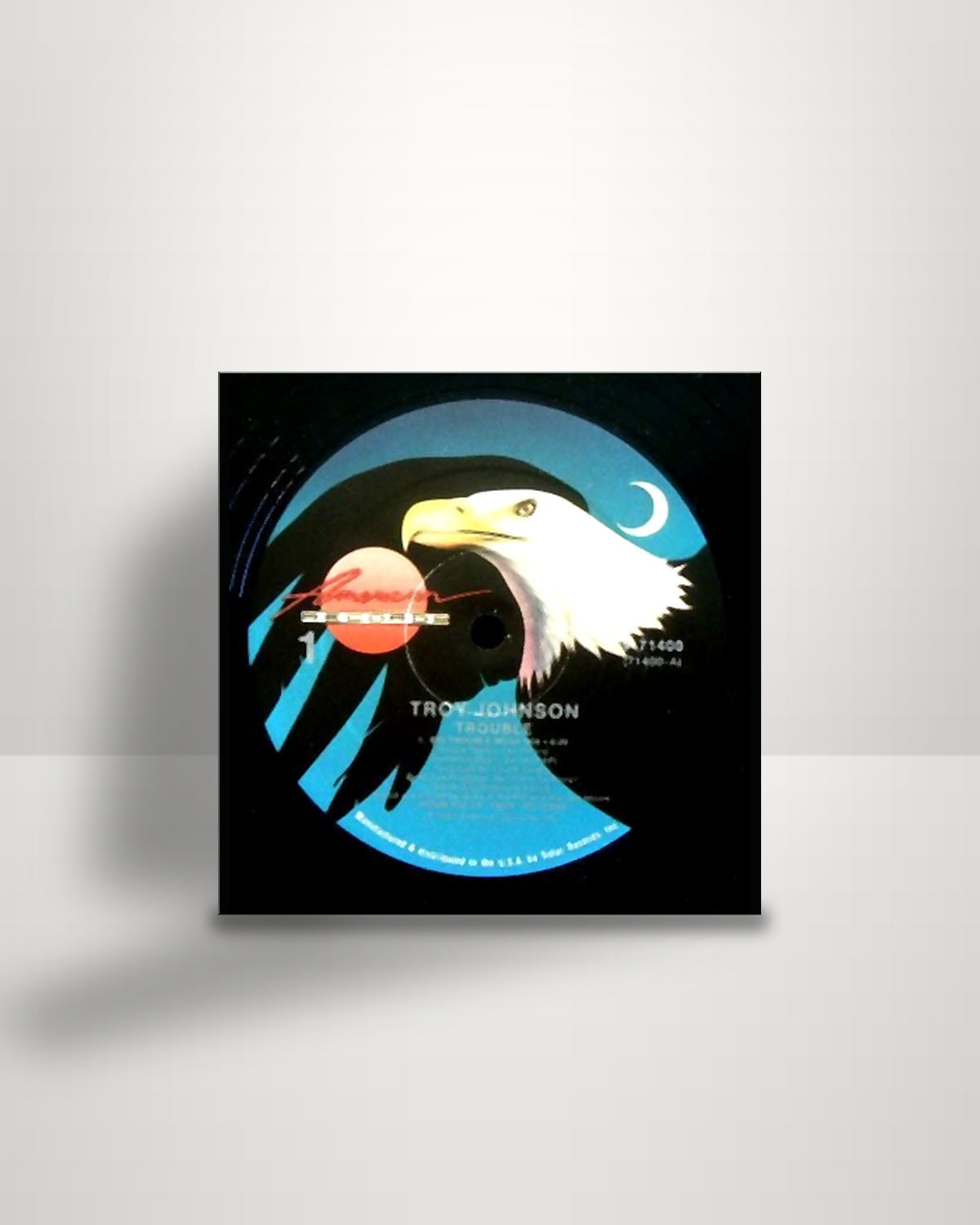 Troy Johnson – Trouble - 12" - American Records US 1987