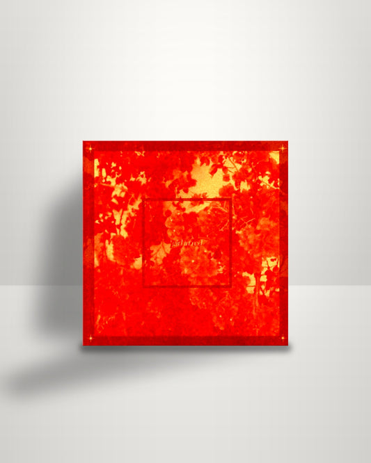 Girl In Red – Beginnings - LP - AWAL Recordings Ltd EU 2019