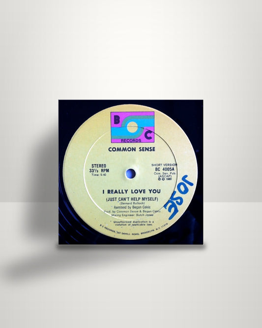 Common Sense – I Really Love You (Just Can't Help Myself) - 12" - BC Records US 1980