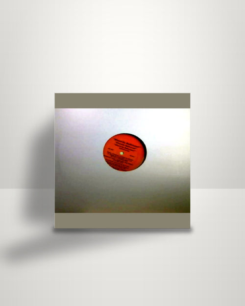 BIG-NAZ – Where'da Bathroom / Drive My Stick - 12" - Big Willz Records US