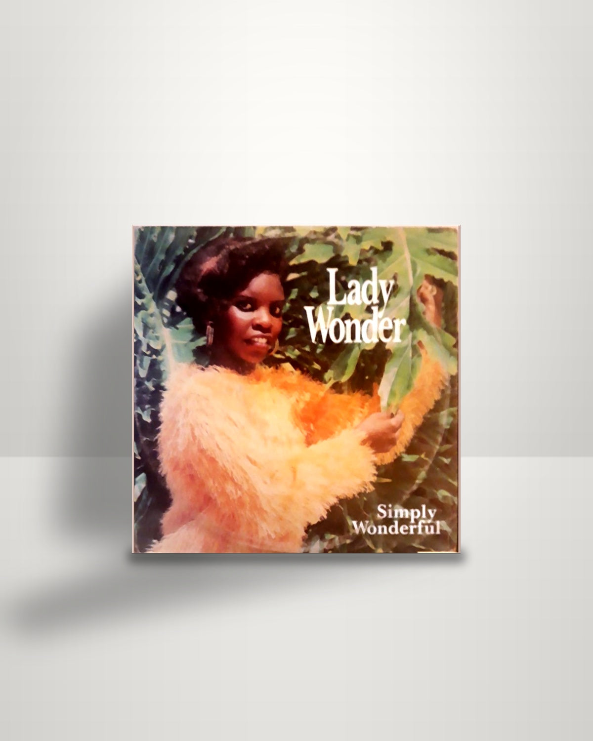 Lady Wonder – Simply Wonderful - 12" - Bowden Records BA 1988