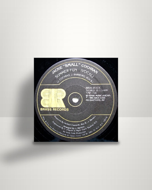 Jackie "Small" Cochran – Summer Fun - 12" - Brass Records US 1980