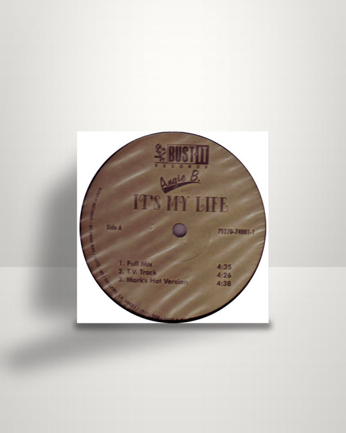 B Angie B – It's My Life - 12" - Bust It Records US 1995