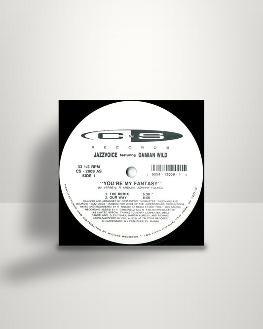 Jazz Voice Featuring Damian Wild – You're My Fantasy - 12" - C & S Records US 1993