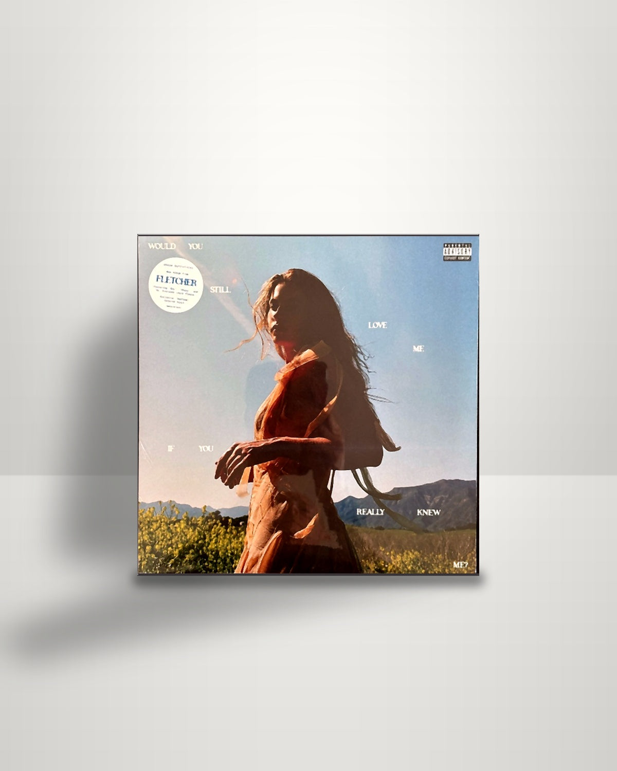 Fletcher – Would You Still Love Me If You Really Knew Me? - LP - Capitol Records US 2025