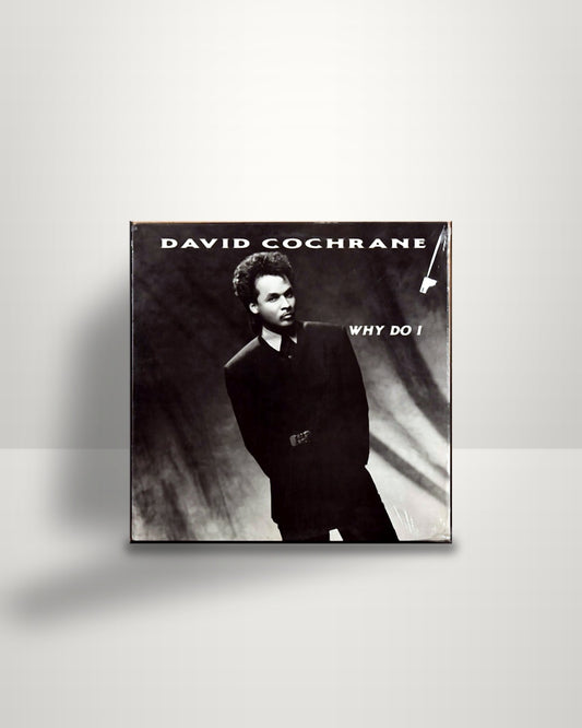 David Cochrane – Why Do I - 12" - Cochrane Records US 1988