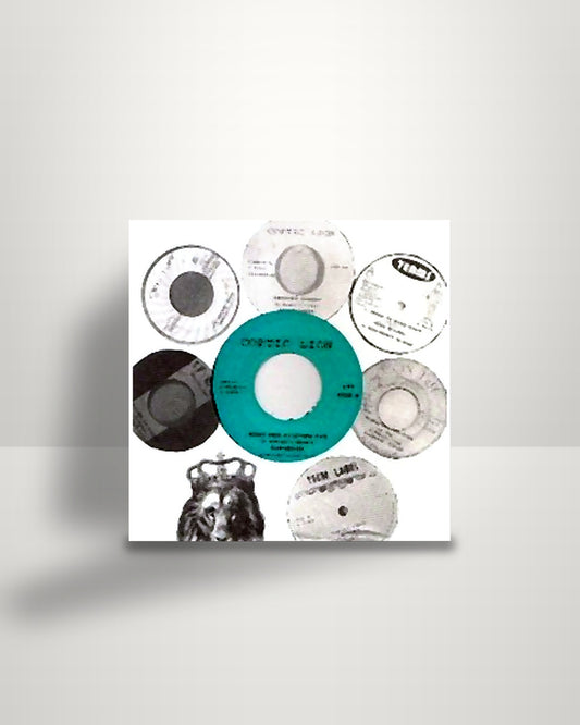 Sandeeno – What Dem Fighting For - 7" - Coptic Lion UK 2013