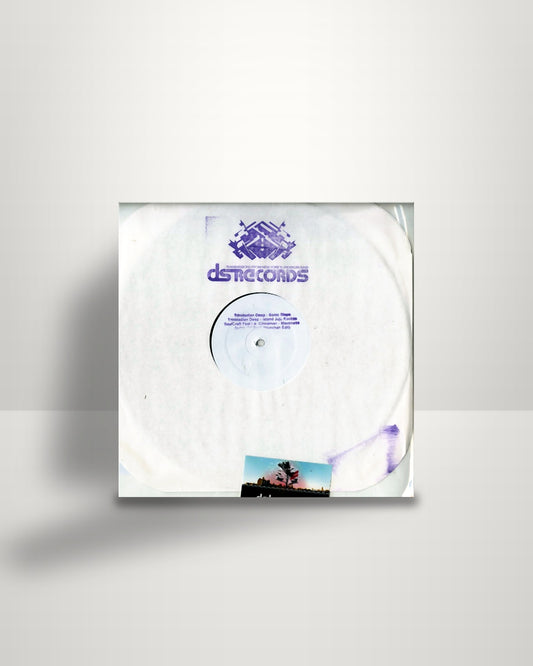 Various – Sonic Steps - 12" - Dailysession Records US 2015