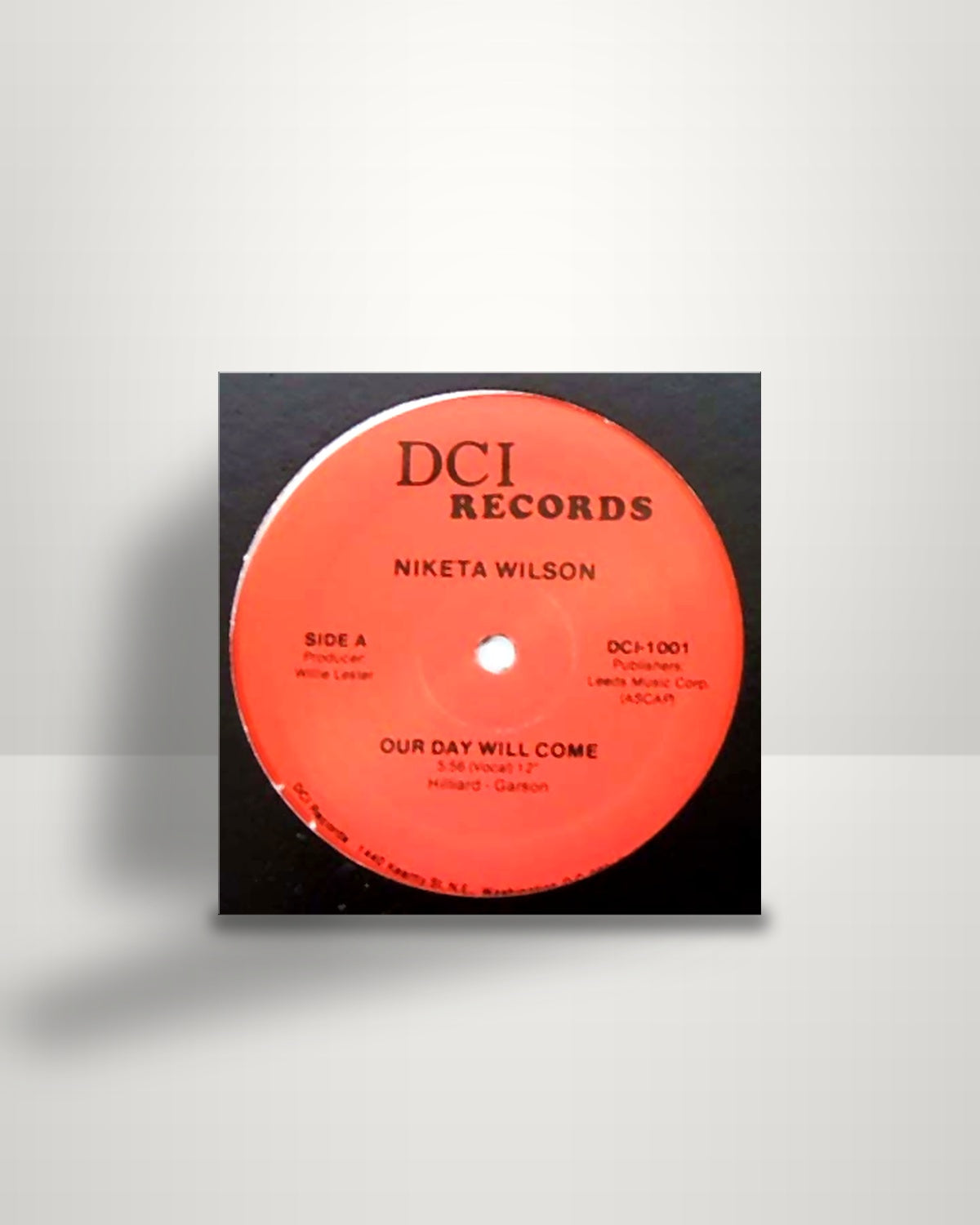 Niketa Wilson – Our Day Will Come - 12" - DCI Records US 1982