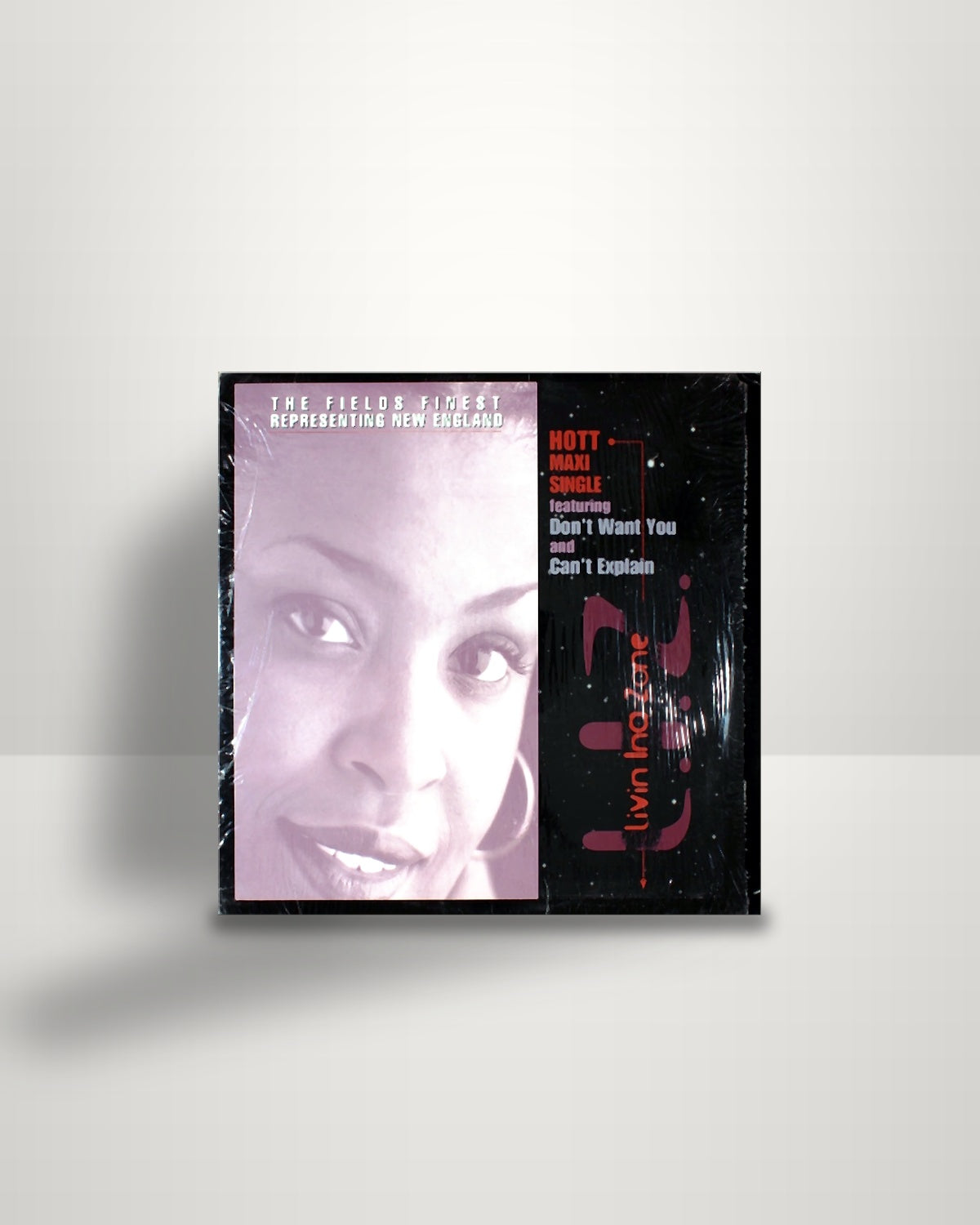Livin Ina Zone – Don't Want You - 12" - DFO Records US 1999