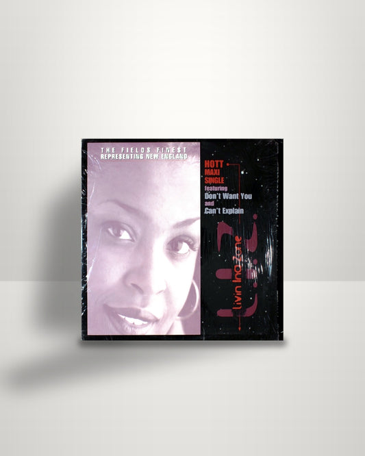 Livin Ina Zone – Don't Want You - 12" - DFO Records US 1999