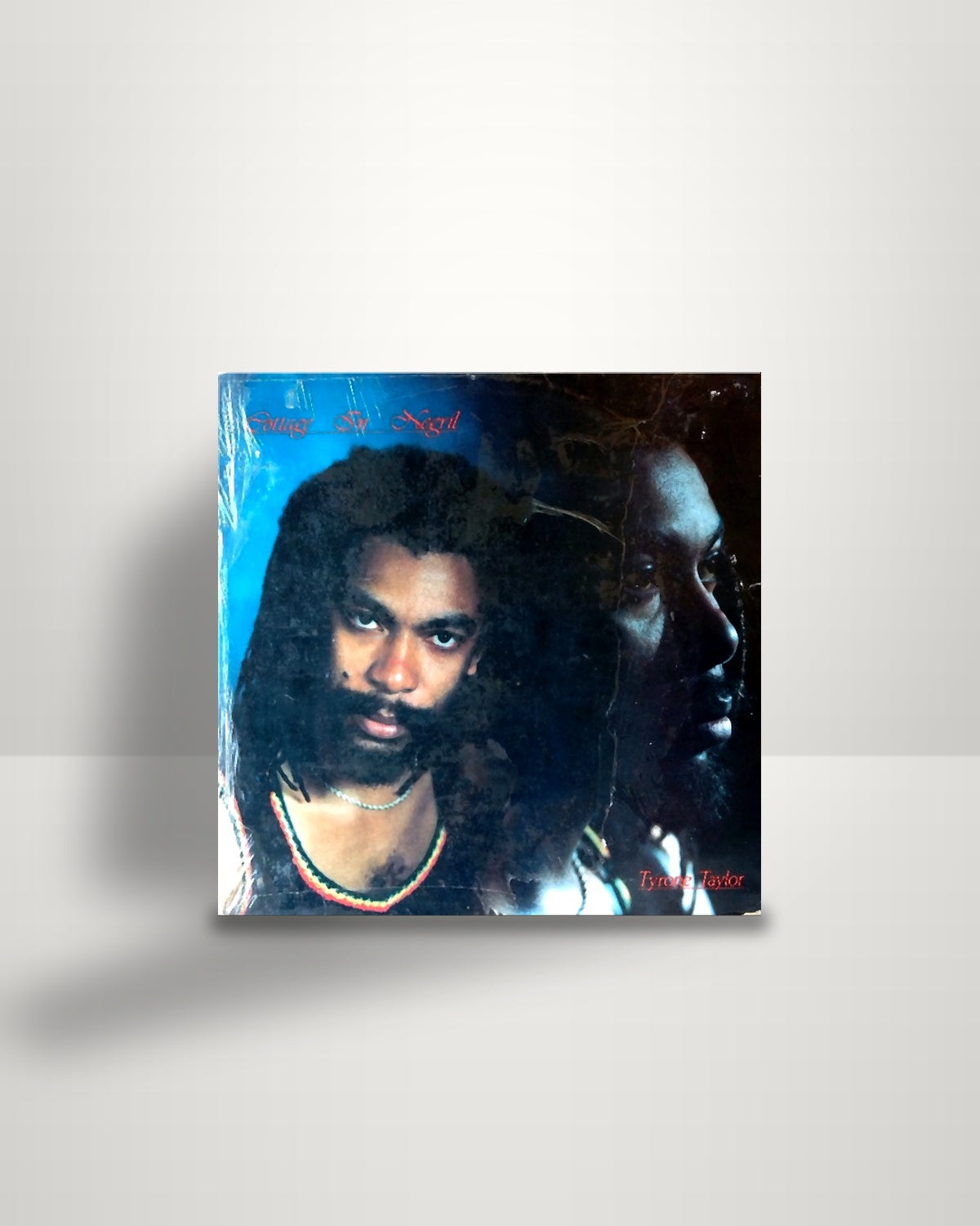 Tyrone Taylor – Cottage In Negril - LP - Diamond C International Records UK 1986