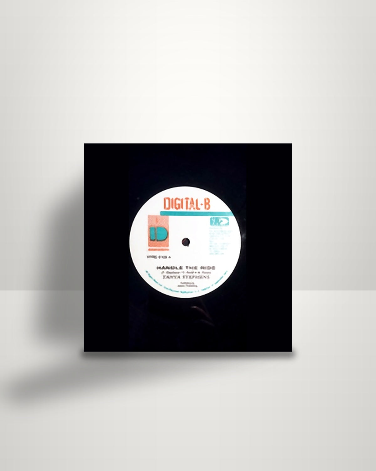 Tanya Stephens / Cocoa Tea – Handle The Ride / Moving On - 12" - Digital-B US 1997
