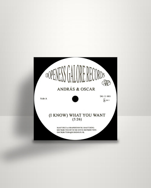Andras Fox & Oscar Key Sung – (I Know) What You Want - 12" - Dopeness Galore NL 2015