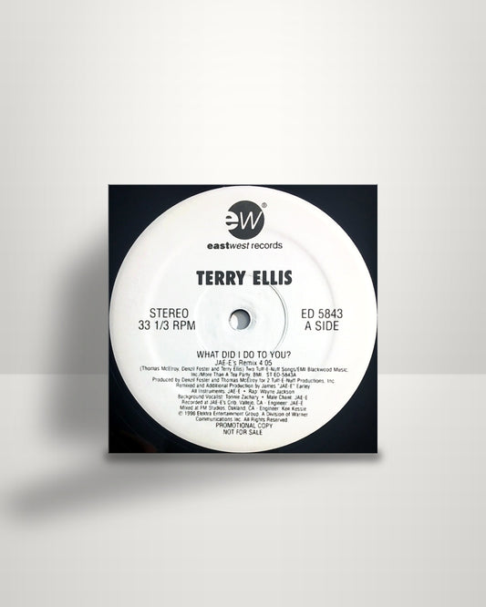 Terry Ellis – What Did I Do To You? - 12" - EastWest Records America US 1995