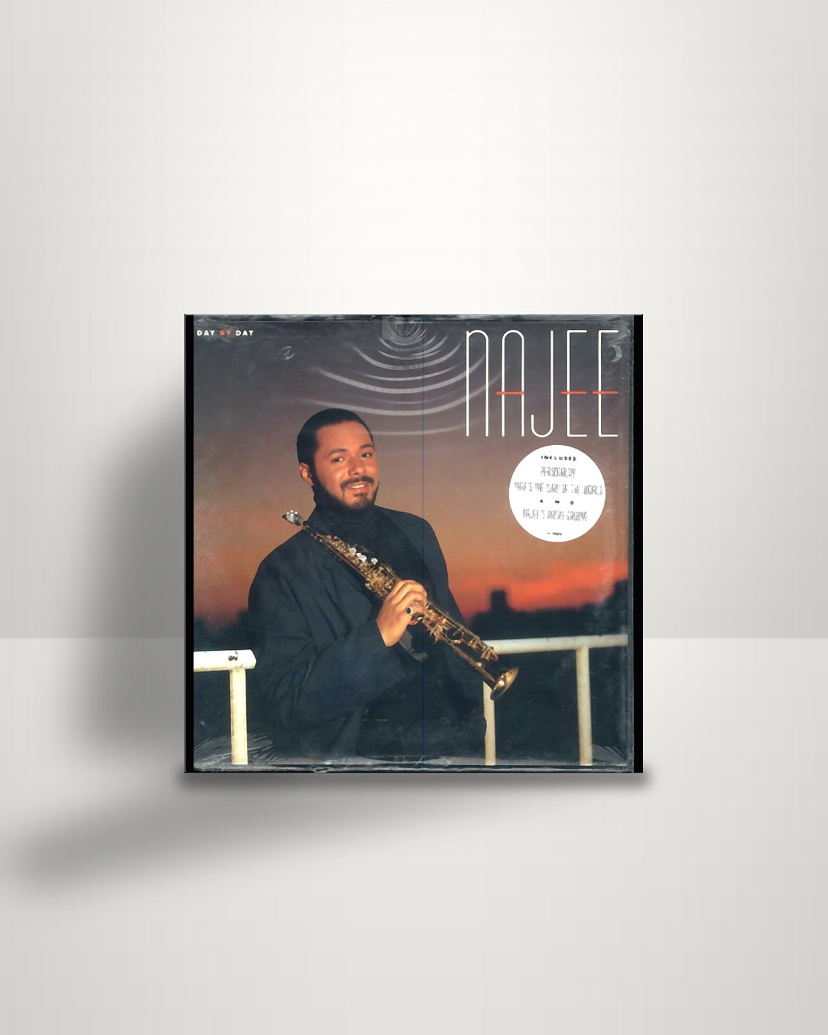 Najee – Day By Day - LP - EMI-Manhattan Records US 1988