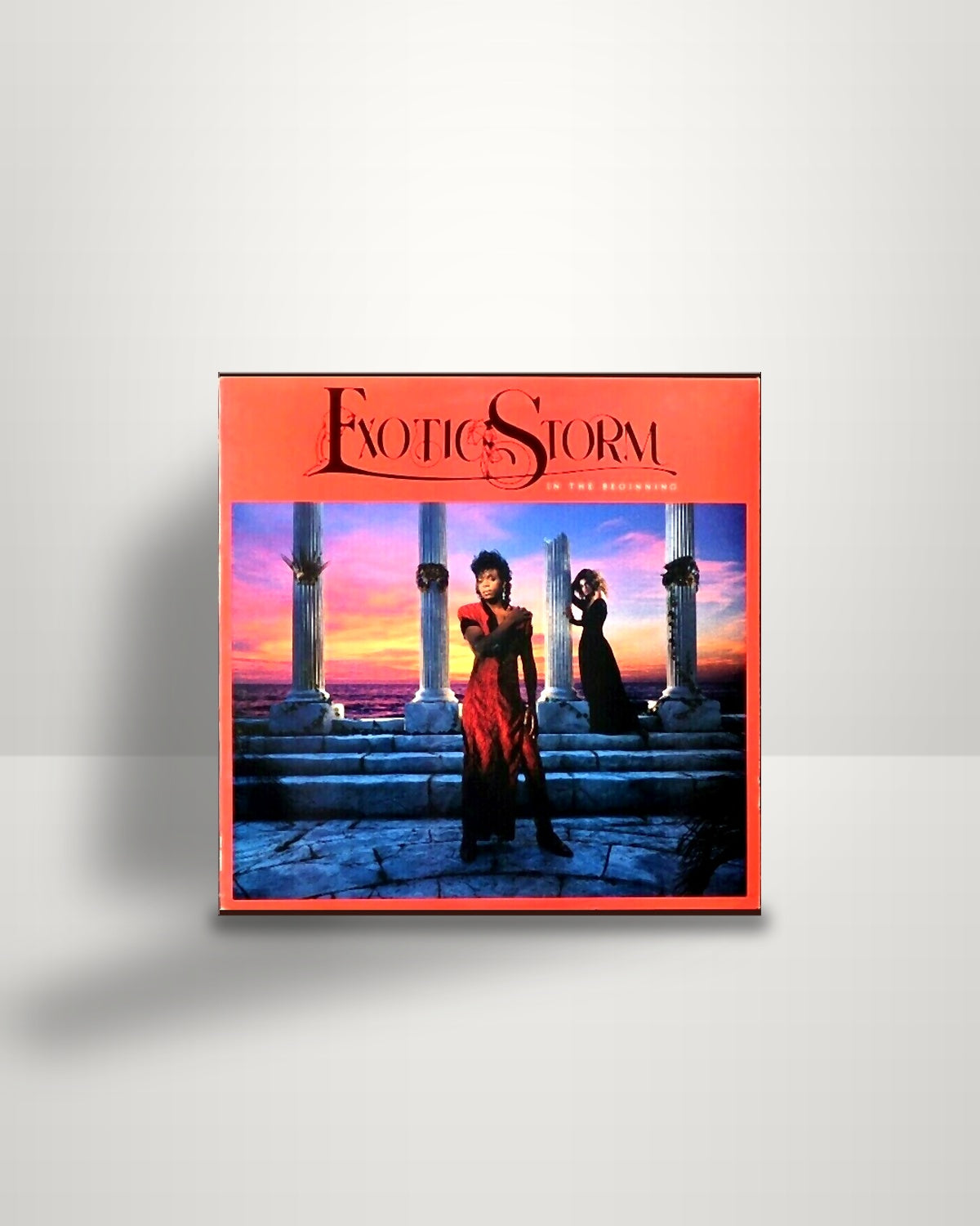 Exotic Storm – In The Beginning - LP - Epic US 1986
