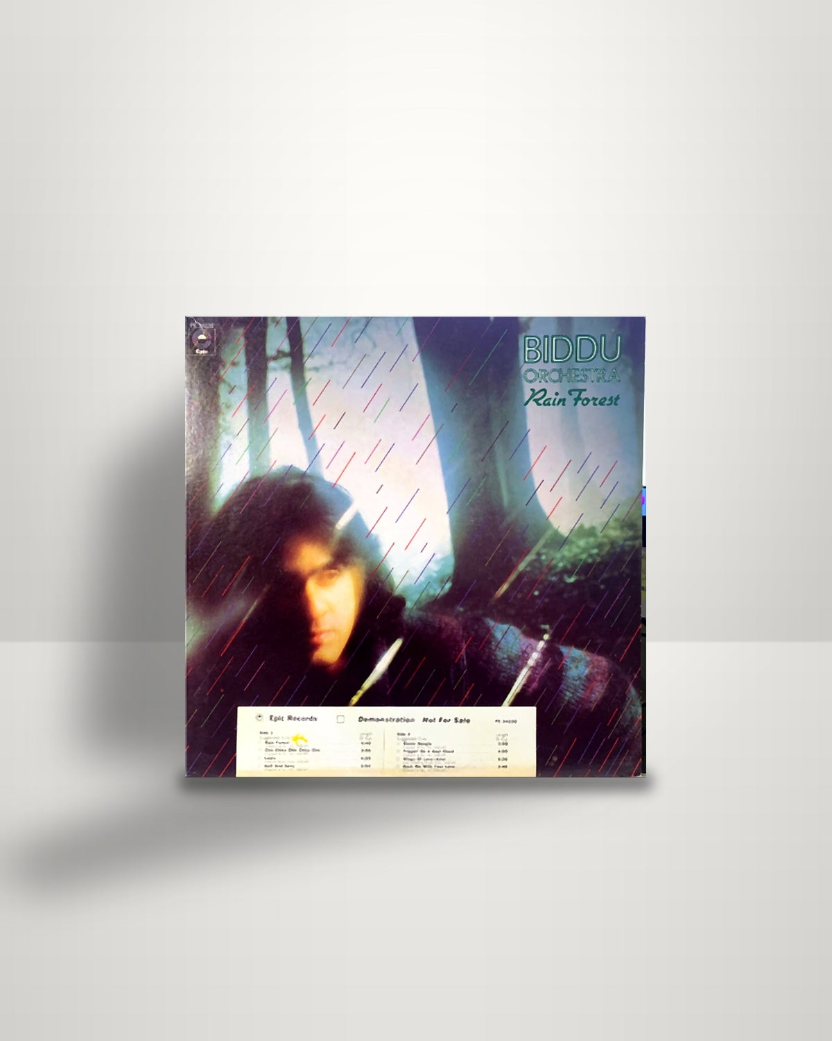 Biddu Orchestra – Rain Forest - LP - Epic US 1976
