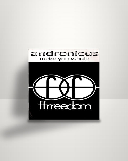 Andronicus – Make You Whole - 12" - Ffrreedom UK 1992