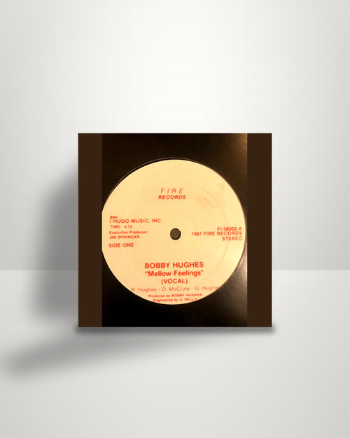 Bobby Hughes – Mellow Feelings - 12" - Fire Records US 1987