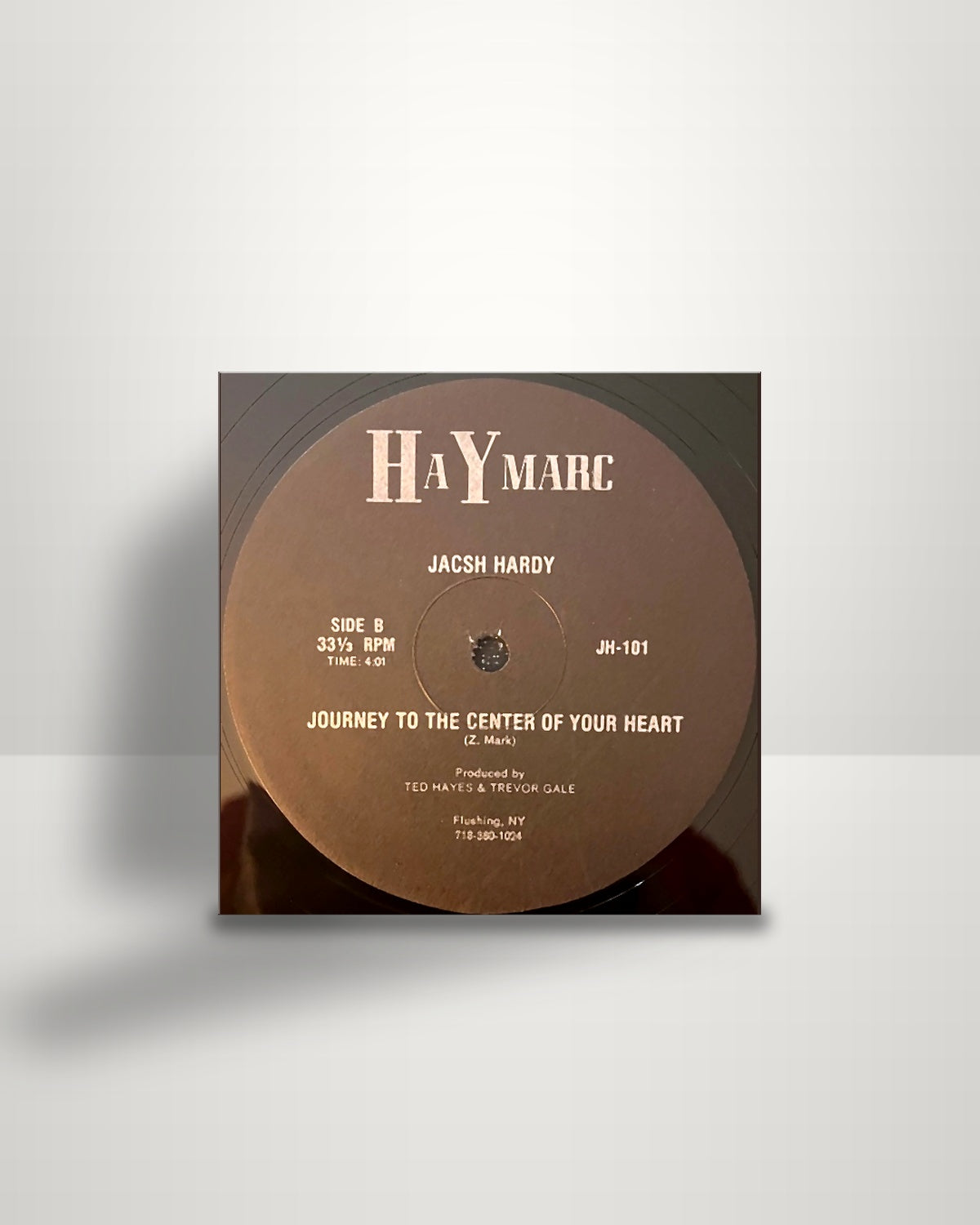 Jacsh Hardy – Didn't We Almost Have It All / Journey To The Center Of Your Heart - 12" - Hay Marc US