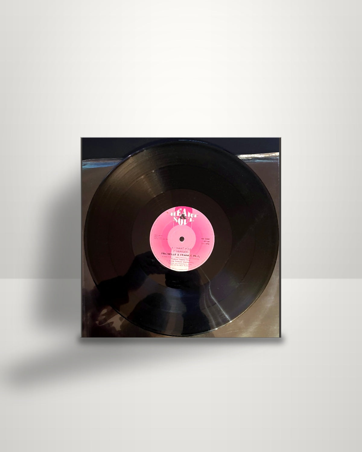 Trichelle – Show Me / I Want You - 12" - Heart & Soul UK 1997