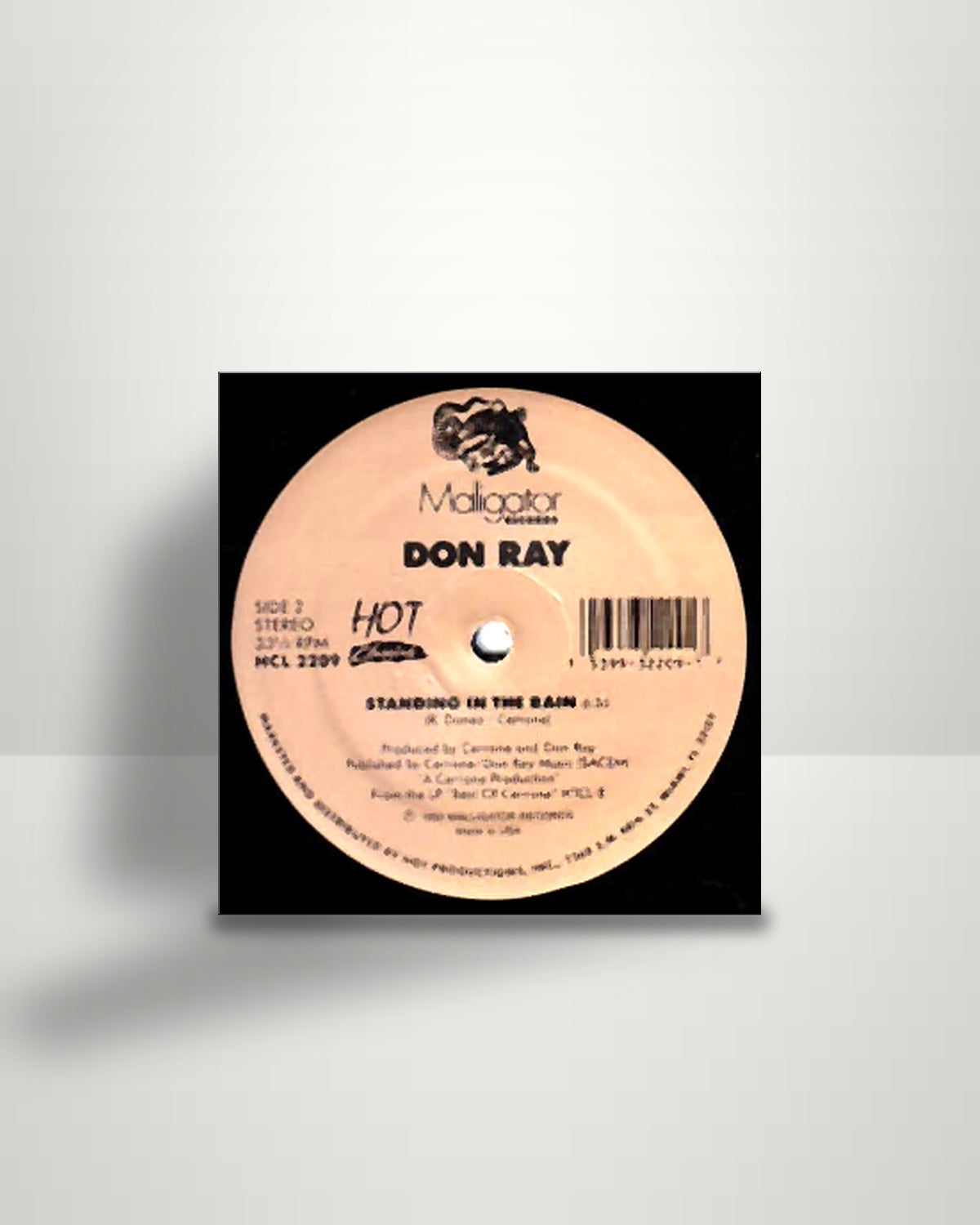 Don Ray – Got To Have Loving / Standing In The Rain - 12" - Hot Classics US 1990