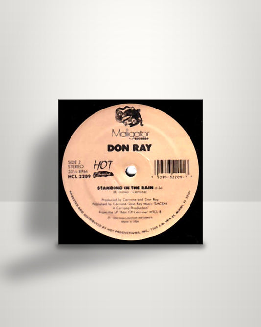 Don Ray – Got To Have Loving / Standing In The Rain - 12" - Hot Classics US 1990
