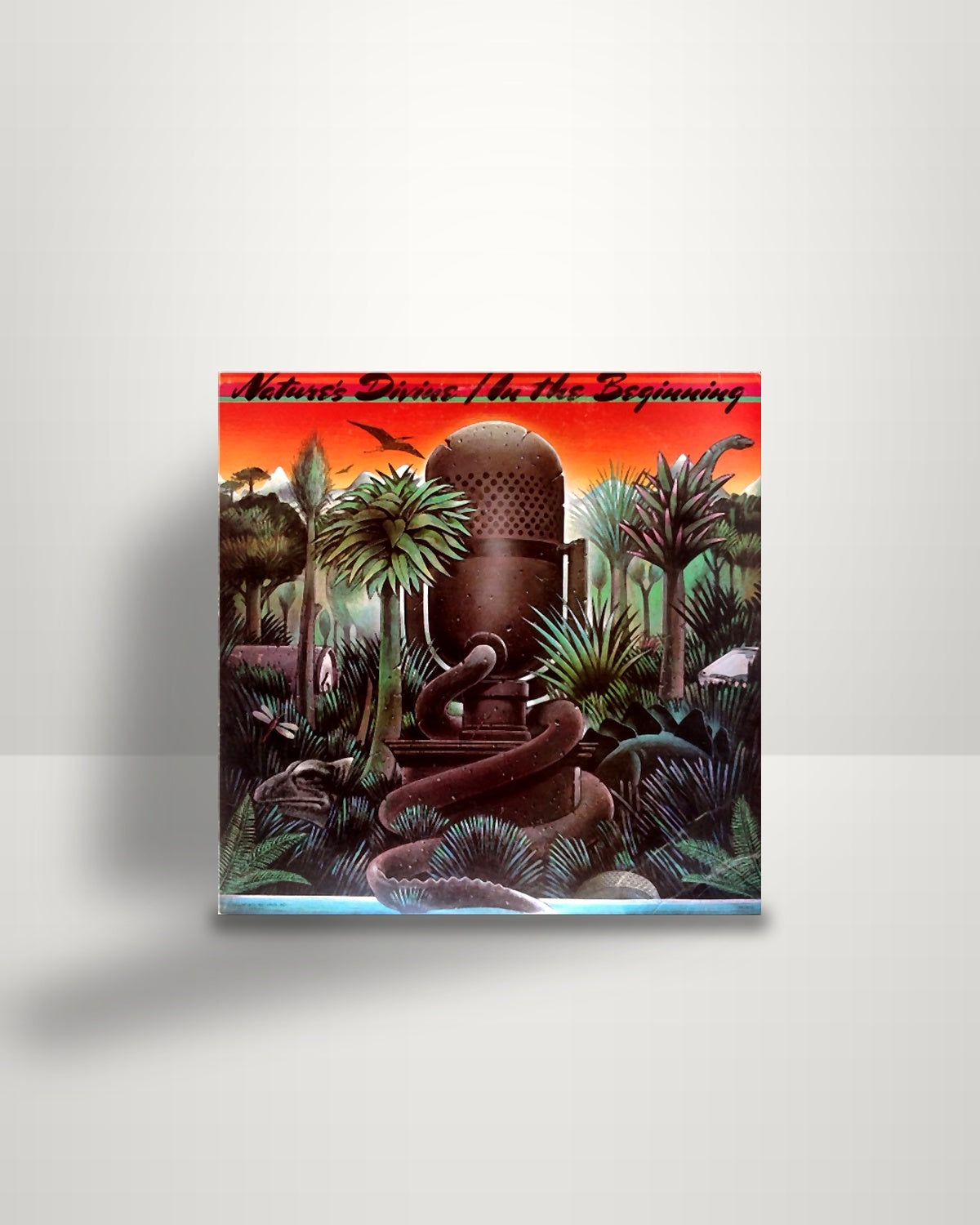 Nature's Divine – In The Beginning - LP - Infinity Records US 1979
