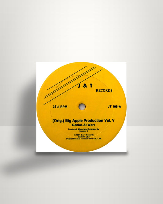 Various – (Orig.) Big Apple Production Vol. V - 12" - J & T Records US 1991