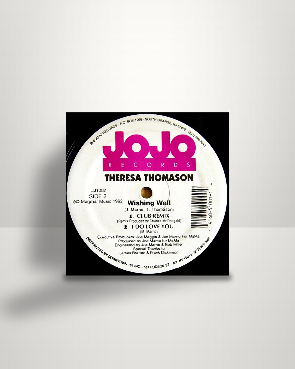 Theresa Thomason – Wishing Well - 12" - JoJo Records US 1992