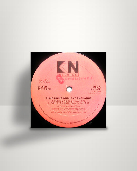 Clair Hicks And Love Exchange – Push (In The Bush) - 12" - KN Records US 1984