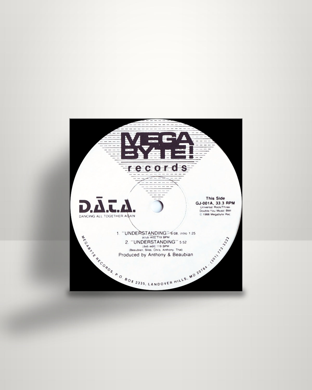 D.A.T.A. – Understanding - 12" - Megabyte Records US 1988