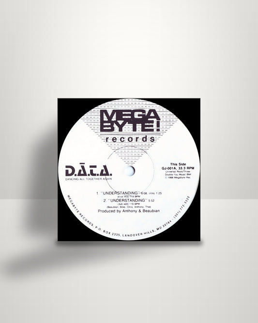 D.A.T.A. – Understanding - 12" - Megabyte Records US 1988