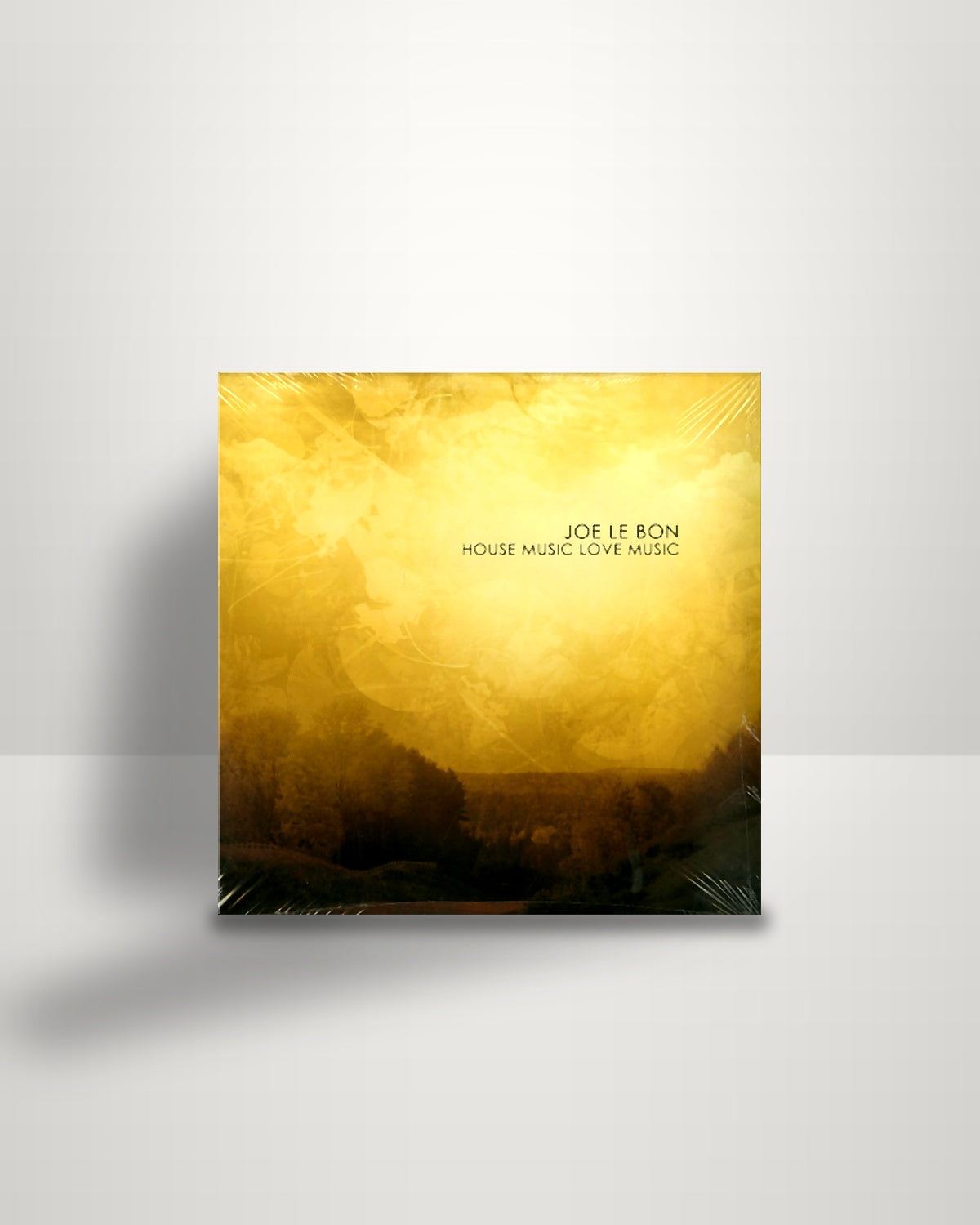 Joe Le Bon – House Music Love Music - 2xLP - Moods & Grooves US 2015