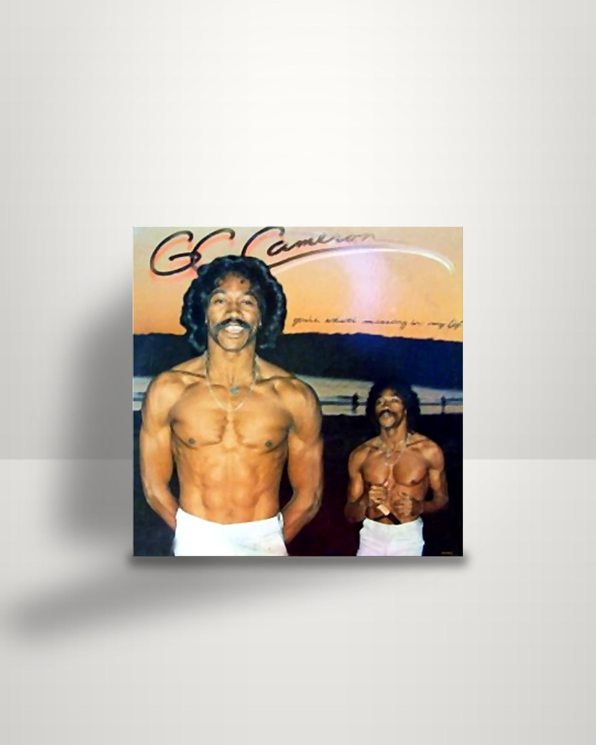 G.C. Cameron – You're What's Missing In My Life - LP - Motown US 1977